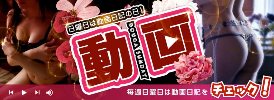 動画　日曜日